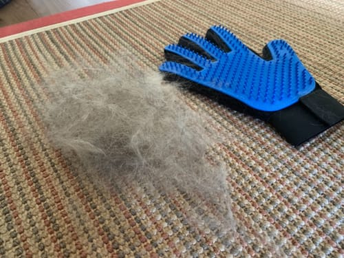 Customer photo review of StimuliCat Grooming Glove | The Only Glove With  Mother-Tongue Technology for Stress-Free Grooming (Includes Both Hands)