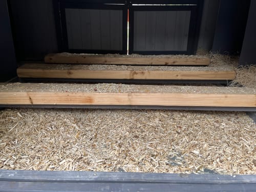 Customer photo review of GrubTerra Coop Refresher!!!