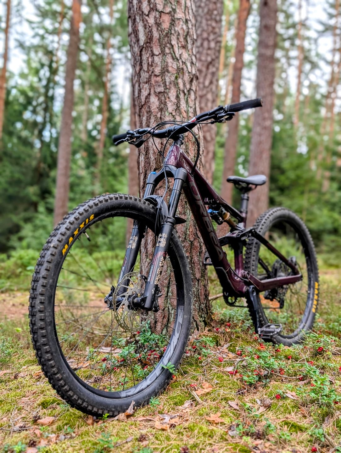 Customer photo review of Custom Fox 36 Decal