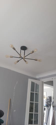 Customer photo review of 6/8 Light Black Sputnik Semi Flush Mount