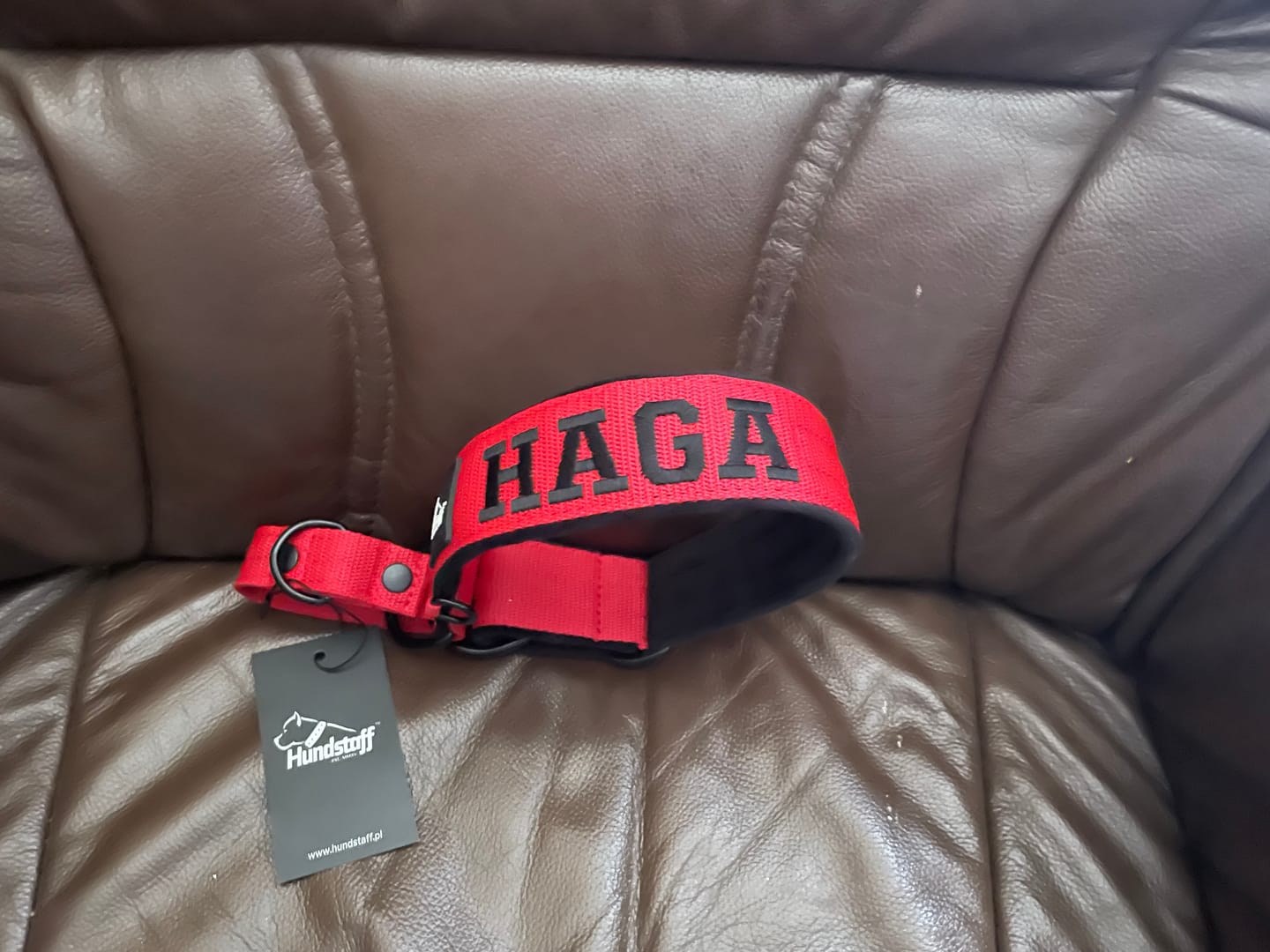 Customer photo review of Półzaciskowa obroża dla psa z imieniem - Personal Martingale