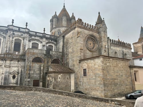 Customer photo review of Client Package