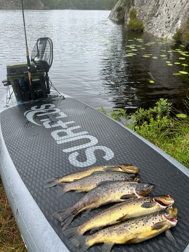 Customer photo review of Boost Fin Long Range