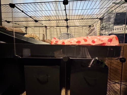 Customer photo review of Kavee Rescue Donation