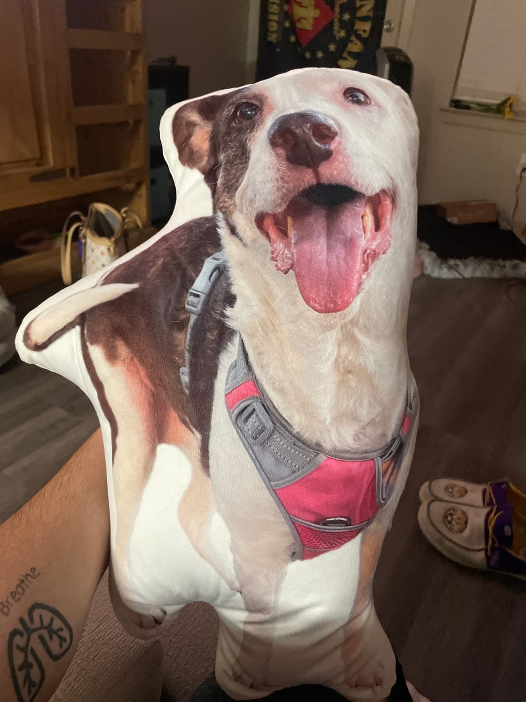 Customer photo review of Custom Pet Shaped Pillow that Look Like your Pet - ThePetPillow