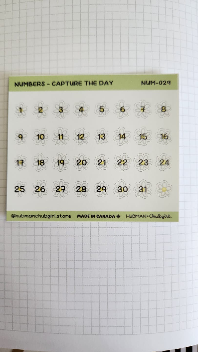 Customer photo review of Numbers - Capture the Day Planner Stickers