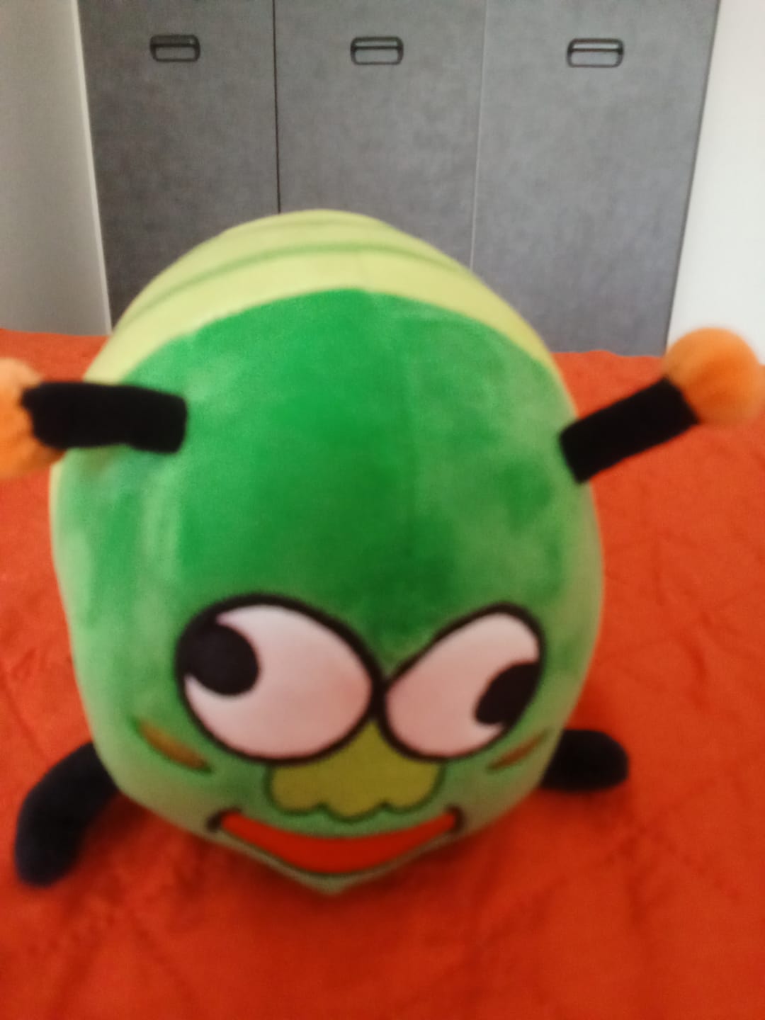 Customer photo review of Peluche Bruco Gianluco + Albo Fumetti e Canzoni!