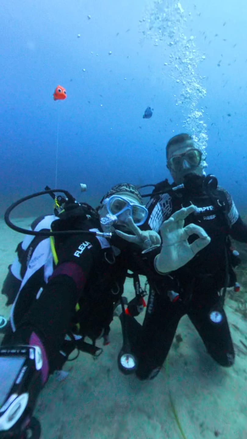 Customer photo review of Diving Toys - Above your tank