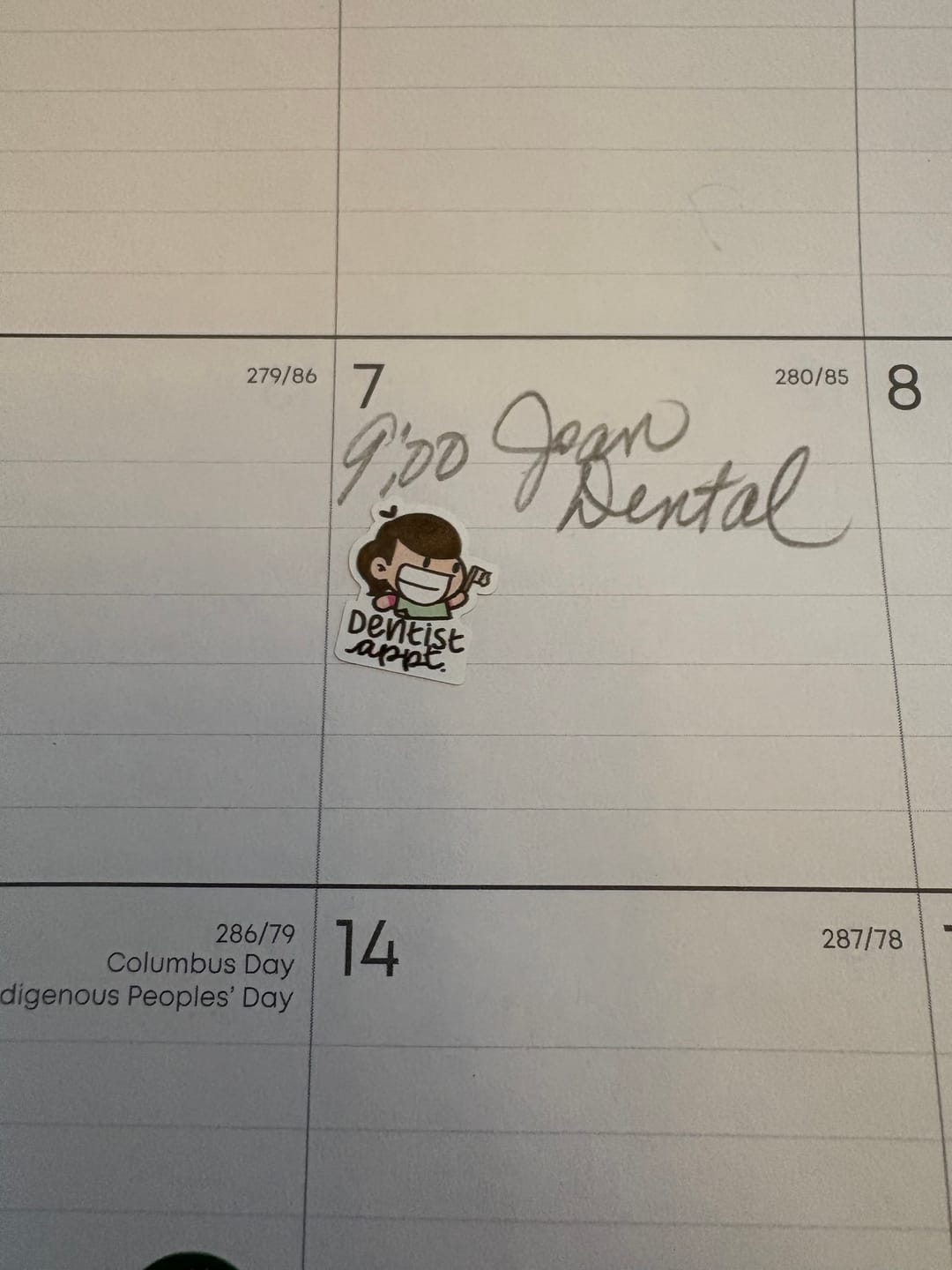 Customer photo review of Dentist Appointment Planner Stickers