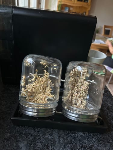 Customer photo review of ESCHENFELDER® Sprossenglas-Set ll (750ml) / Keramik SCHWARZ