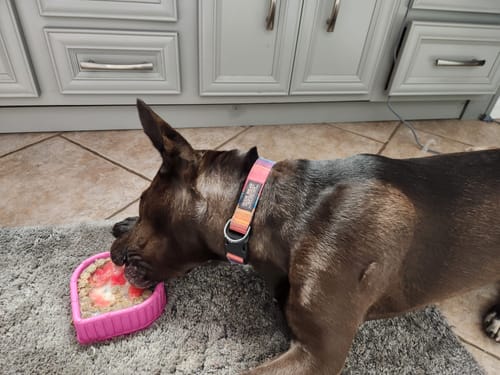 Customer photo review of FreezHeart - Durable Heart Enrichment Chew