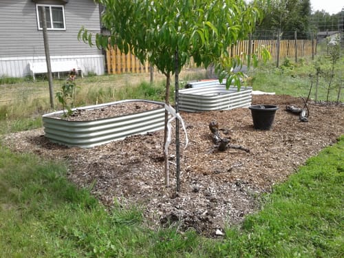Customer photo review of 17” Tall Modular 9 in 1