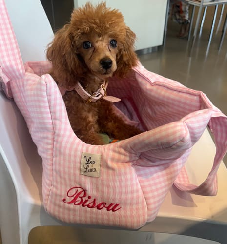 Customer photo review of Borsa Cotone Scozzese Rosso