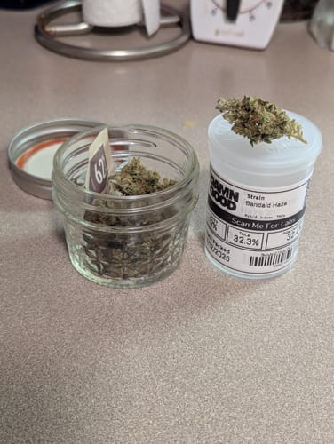 Customer photo review of Bandaid Haze IX 3.0