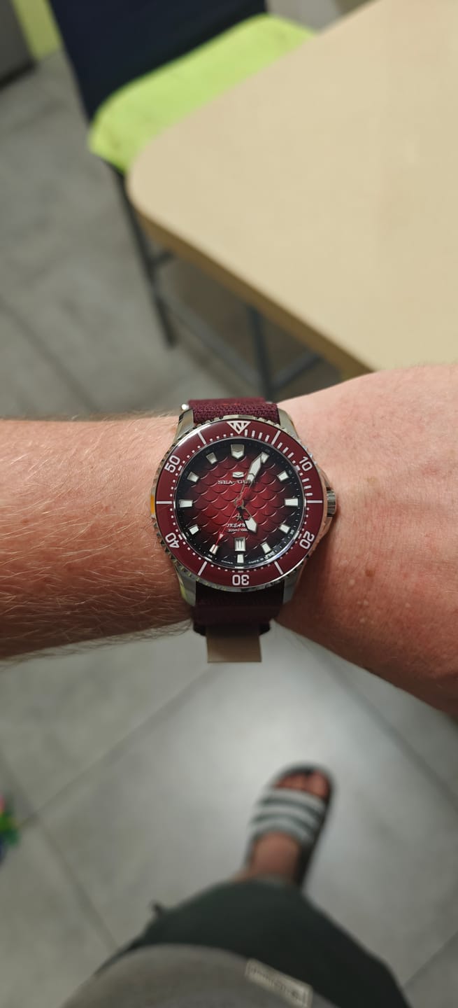 Customer photo review of Ocean Series | Dragon Kings of the Four Seas | Dive | Dual Strap | 44mm