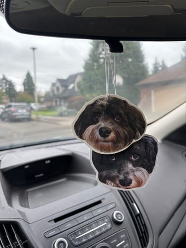 Customer photo review of Custom Air Freshener