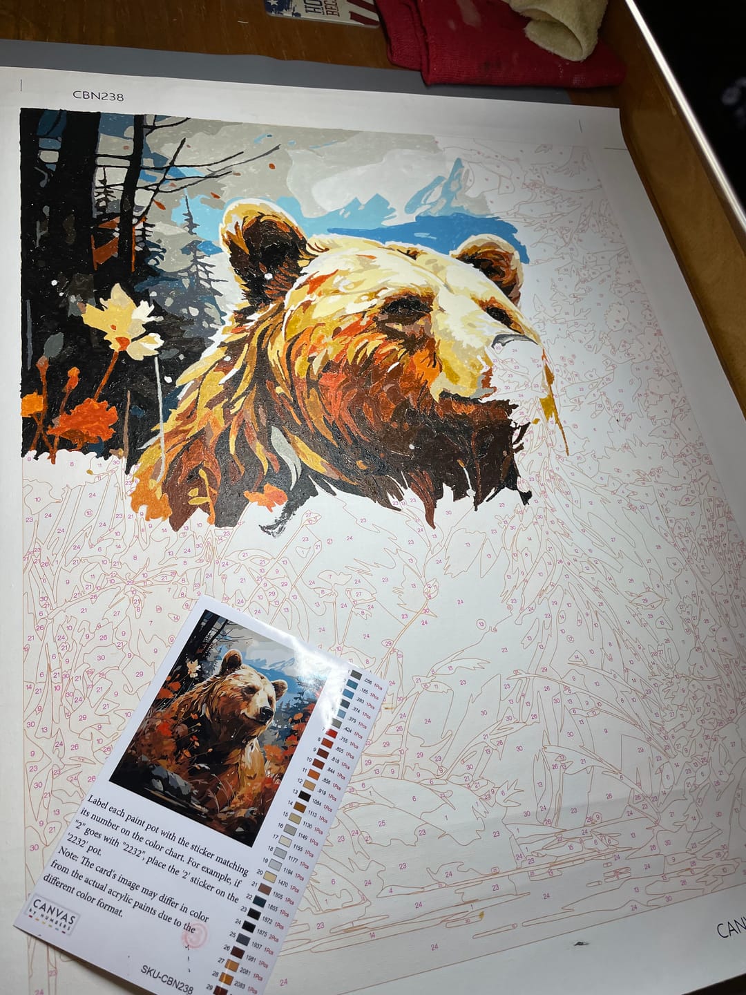 Customer photo review of Grizzly Bear Portrait
