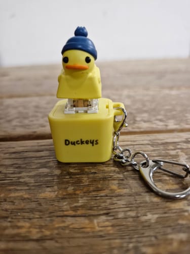 Customer photo review of Quackey - Fidget Toy that Quacks!