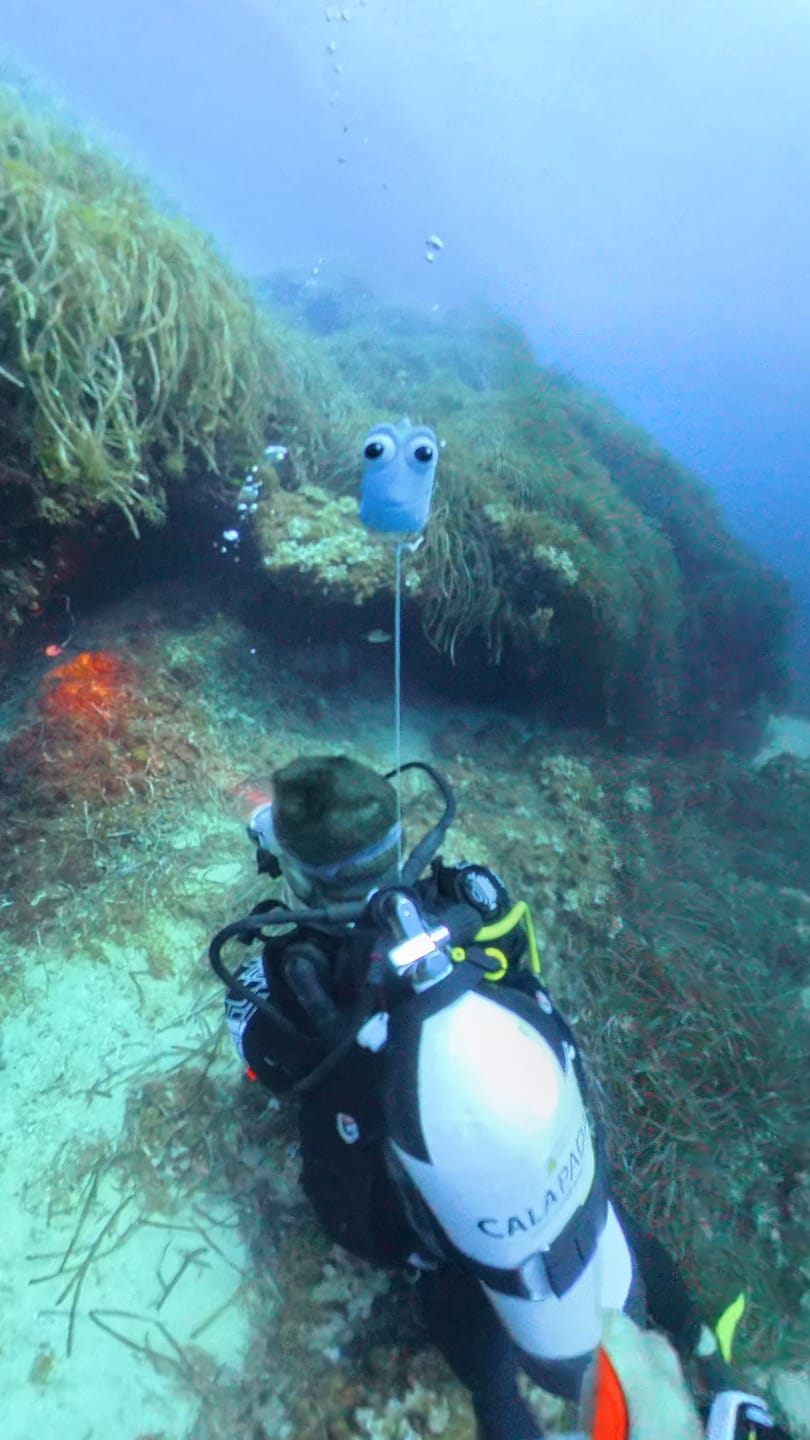 Customer photo review of Diving Toys - Above your tank