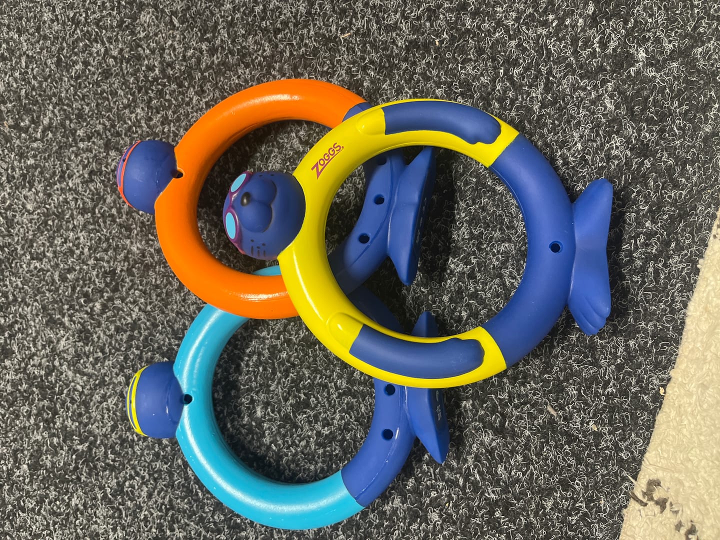 Customer photo review of Zoggs Dive Rings 3PK