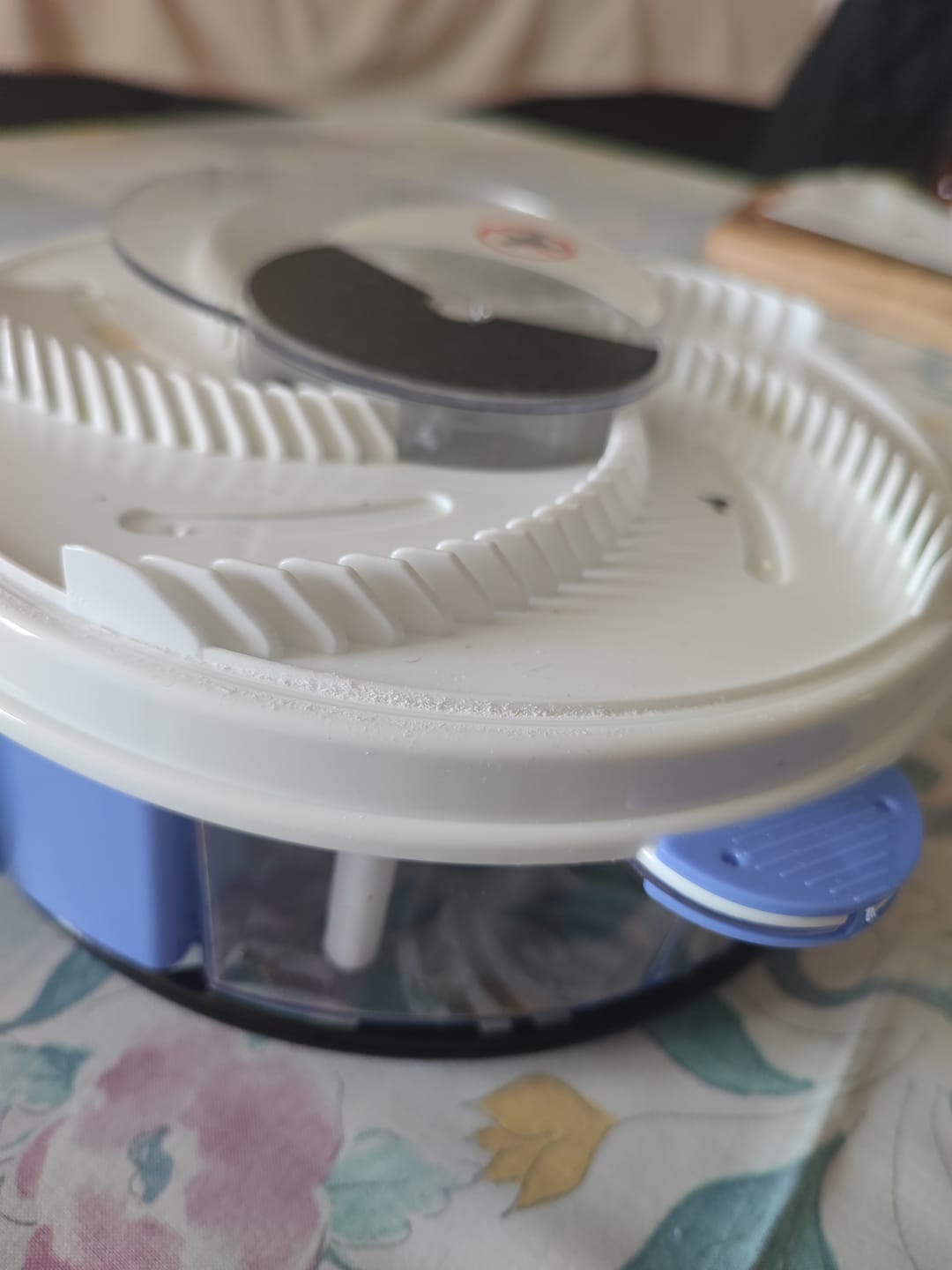Customer photo review of EcoTrappe - Attrape-Mouche Électrique