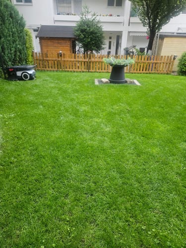 Kundenbewertung mit Foto zu RASENBLITZ™ - GANZJAHRESDÜNGER