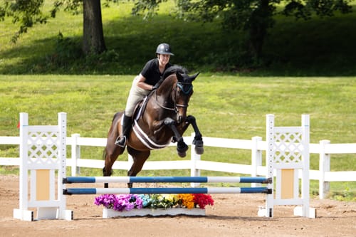Customer photo review of ProSeries Fleece Stabilizer Training Girth