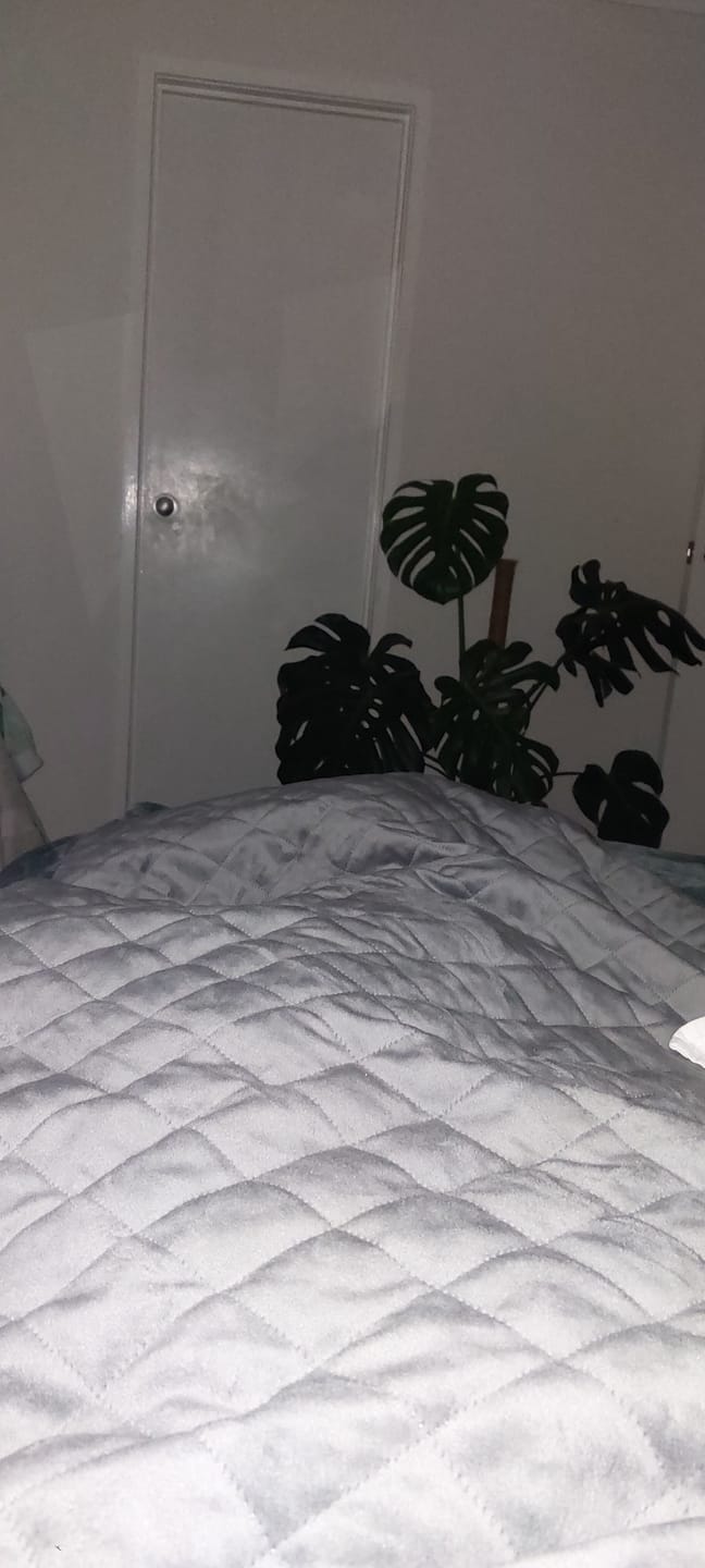 Customer photo review of Weighted Blanket II