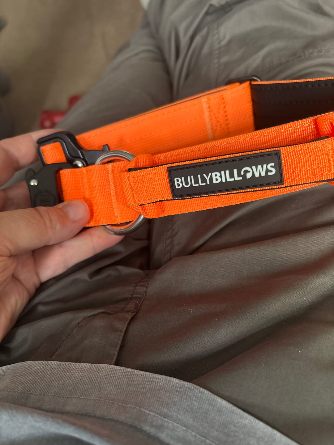 Customer photo review of 4cm Combat® Collar | Handle & Rated Clip - Orange