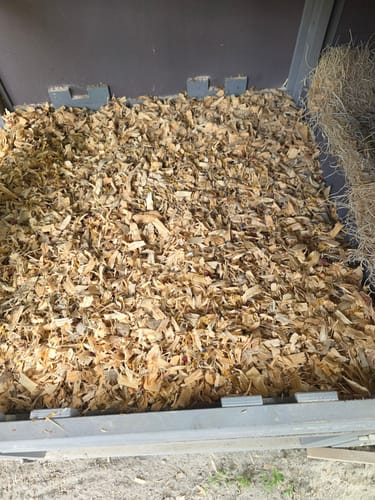 Customer photo review of GrubTerra Coop Refresher!!!