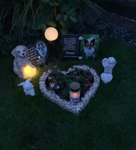 Customer photo review of Hunde-Türschild personalisiert mit Foto & Text (UV- und wetterfest)