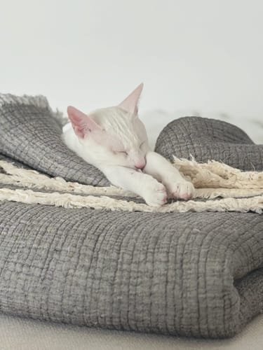 Customer photo review of Hazea Muslin Blanket - Dark Grey