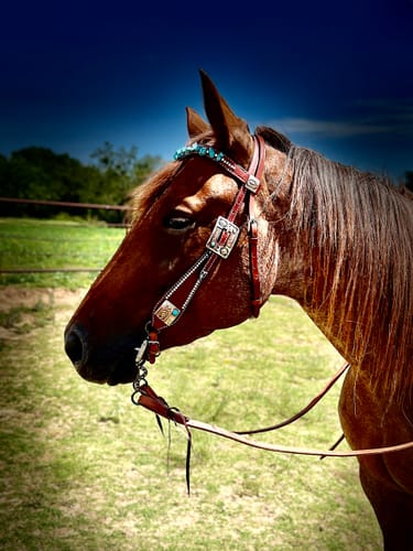 Customer photo review of Cheyenne Conchos