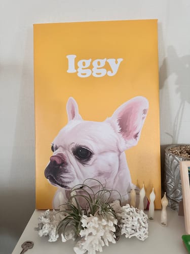 Customer photo review of Petcanva©オーダーメイド ペット似顔絵