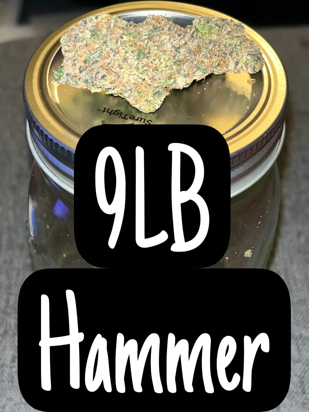 Customer photo review of 9LB Hammer