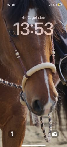 Customer photo review of Strotonin Horse Support