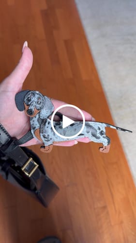 Customer video review of LONG DASH DACHSHUND CHARM | LEATHER EDITION