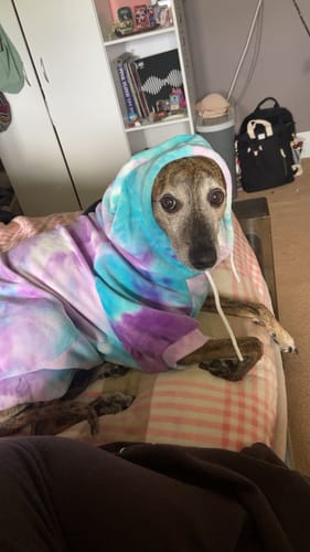 Customer photo review of Velvet Dog Hoodie - 90s Retro
