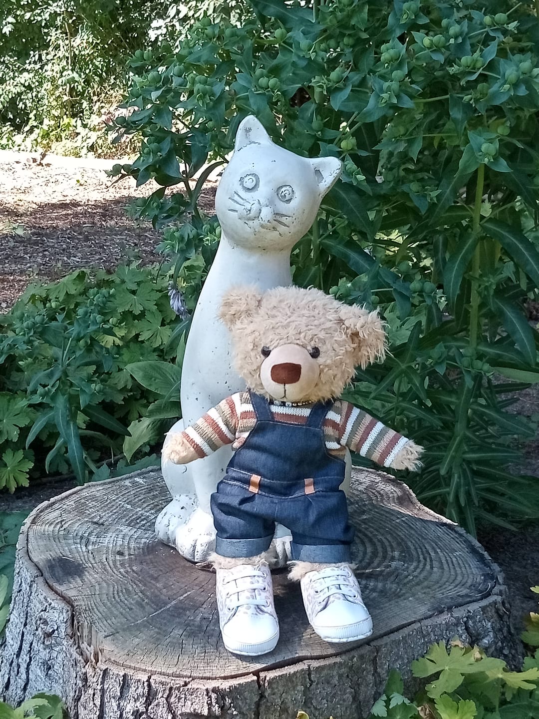 Customer photo review of Donate to Eddy the Teddy