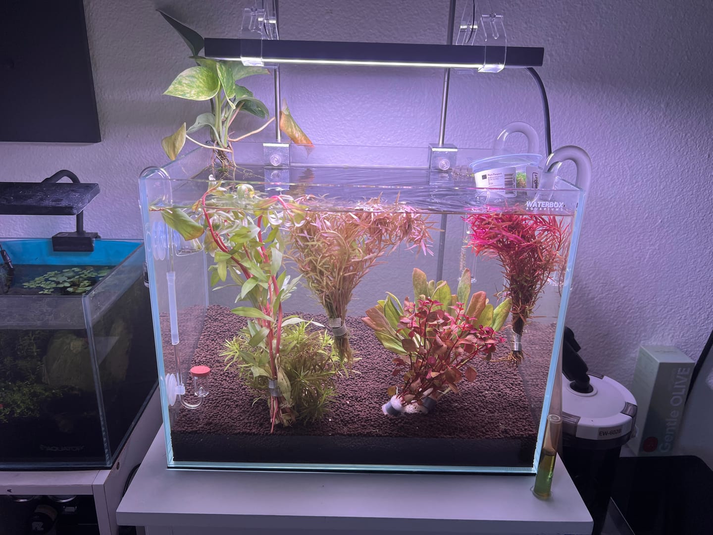 Customer photo review of Chihiros WRGB II Slim LED Light