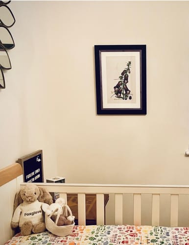 Customer photo review of c.1837 British Flowering Plants