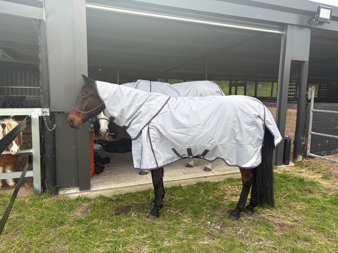 Customer photo review of LE Boxter Turnout Ripstop 50g