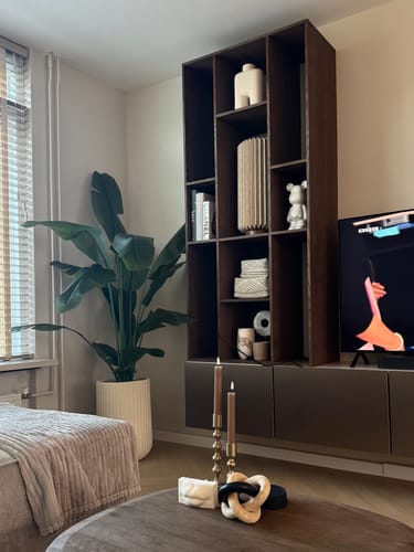 Customer photo review of Strelitzia Kunstplant 180cm Deluxe