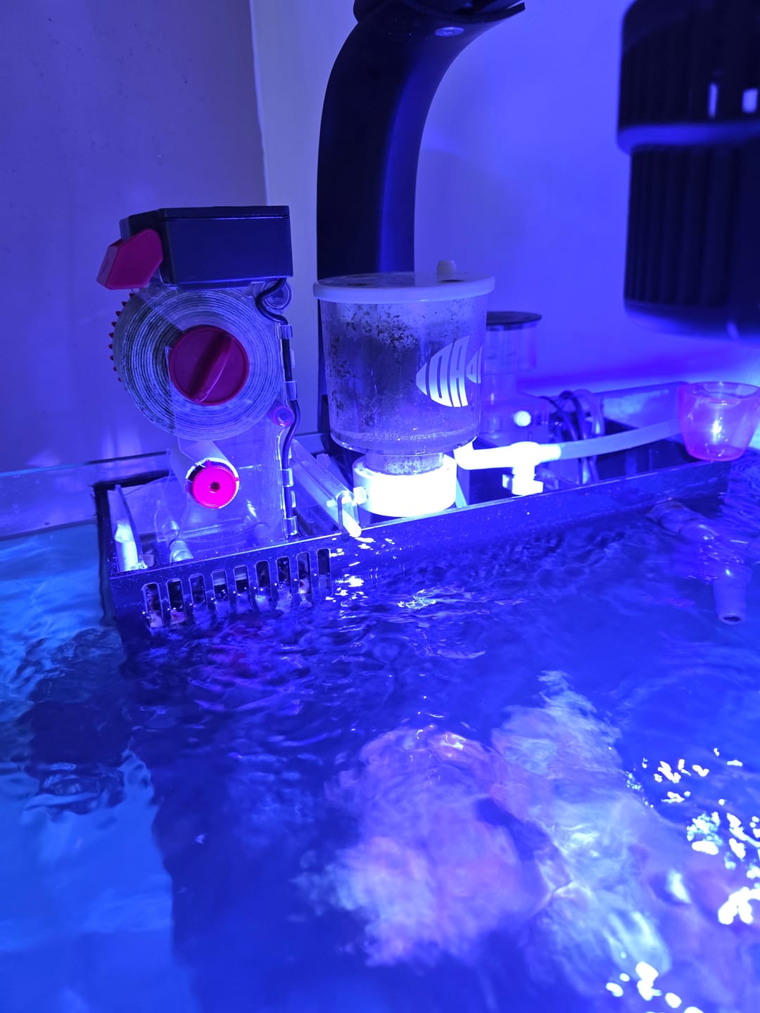 Customer photo review of Fiji Cube AIO Box All-in-One Kit 4th Gen - 75 Gallon Standard
