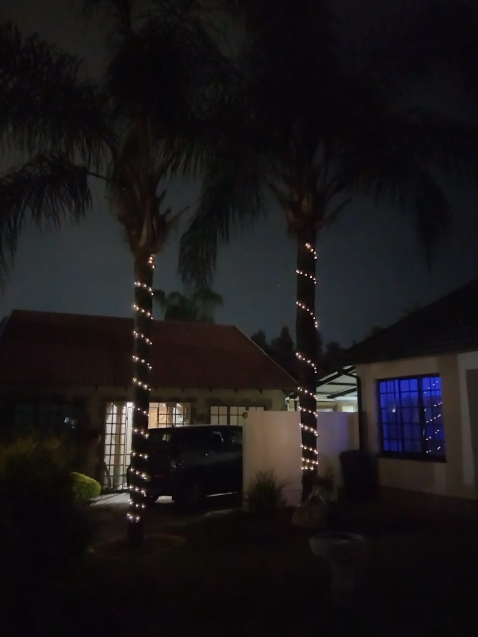 Customer photo review of Copper Wire Solar Fairy Lights