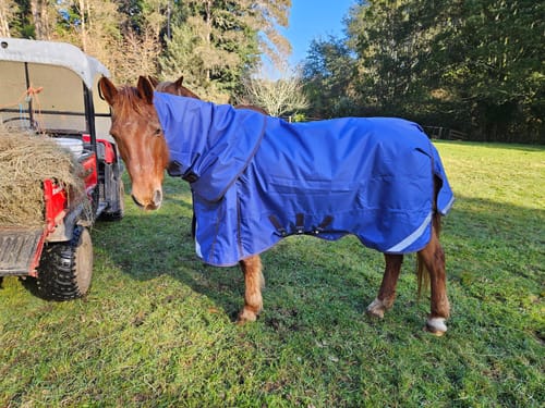 Customer photo review of LE Boxter Turnout 100g