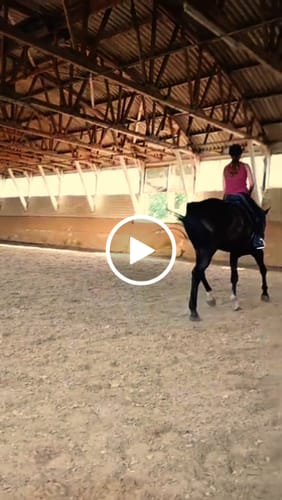 Customer video review of Balancezügel CR