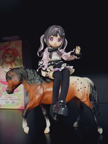 Customer photo review of Electronic Pet Game World Series 1/12 BJD Blind Box