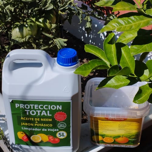 Customer photo review of FERTIBONO PROTECCION TOTAL Jabón Potásico y Aceite de Neem – Cuidado Natural 100% para Plantas | 5L | Fortalece, Limpia y Equilibra | Ideal para Huertos y Jardines Ecológicos