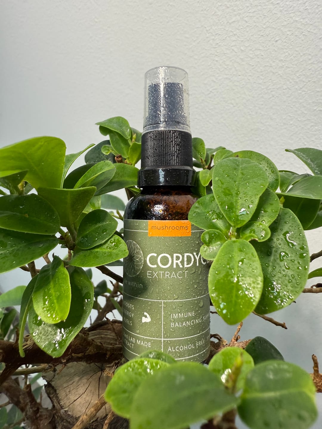 Customer photo review of Cordyceps Extract (30 ml)